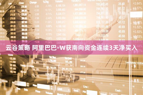 云谷策略 阿里巴巴-W获南向资金连续3天净买入