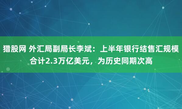 猎股网 外汇局副局长李斌：上半年银行结售汇规模合计2.3万亿美元，为历史同期次高