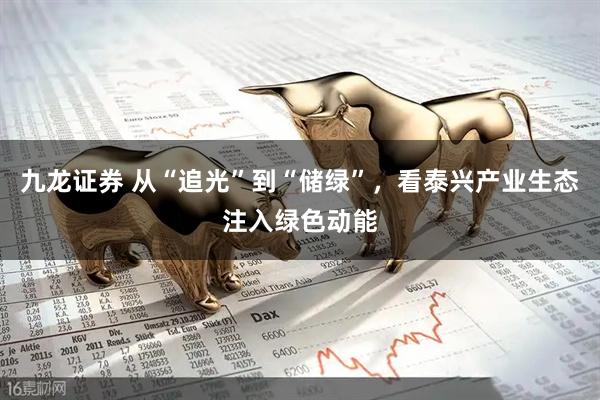 九龙证券 从“追光”到“储绿”，看泰兴产业生态注入绿色动能