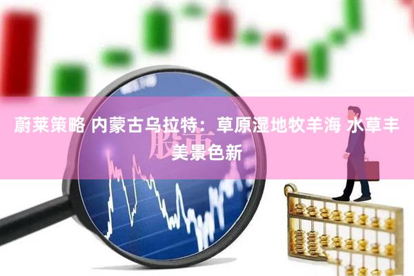 蔚莱策略 内蒙古乌拉特：草原湿地牧羊海 水草丰美景色新