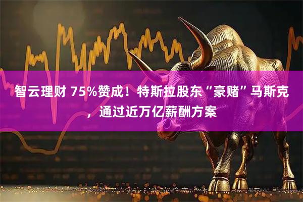 智云理财 75%赞成！特斯拉股东“豪赌”马斯克，通过近万亿薪酬方案