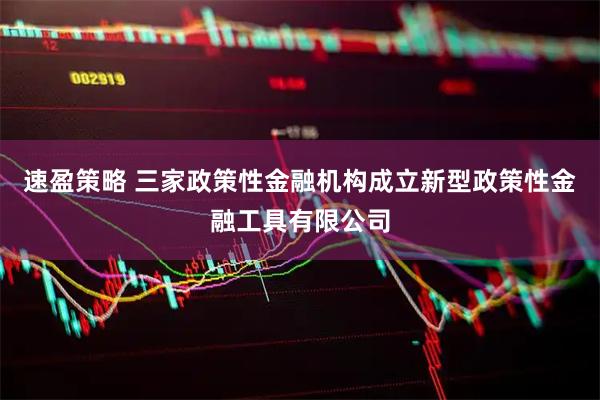 速盈策略 三家政策性金融机构成立新型政策性金融工具有限公司