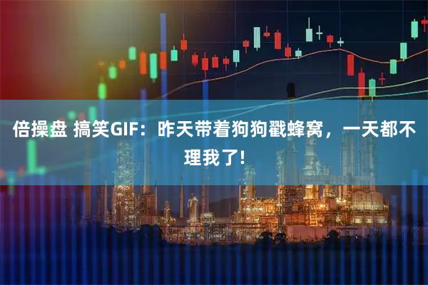 倍操盘 搞笑GIF：昨天带着狗狗戳蜂窝，一天都不理我了!
