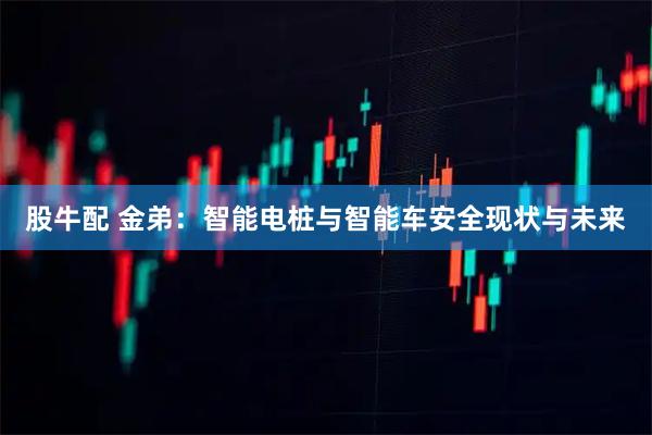 股牛配 金弟:智能电桩与智能车安全现状与未来