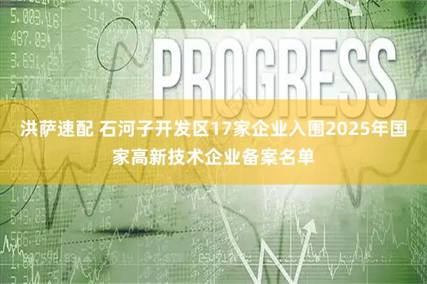 洪萨速配 石河子开发区17家企业入围2025年国家高新技术企业备案名单