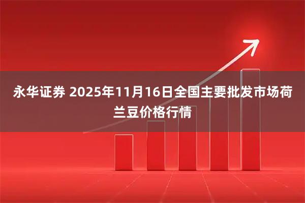 永华证券 2025年11月16日全国主要批发市场荷兰豆价格行情