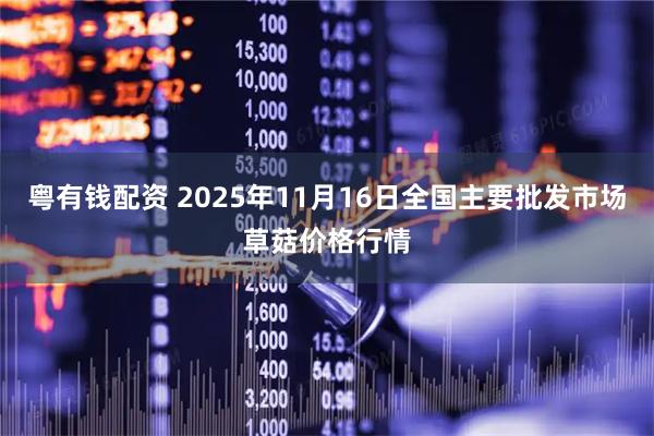 粤有钱配资 2025年11月16日全国主要批发市场草菇价格行情